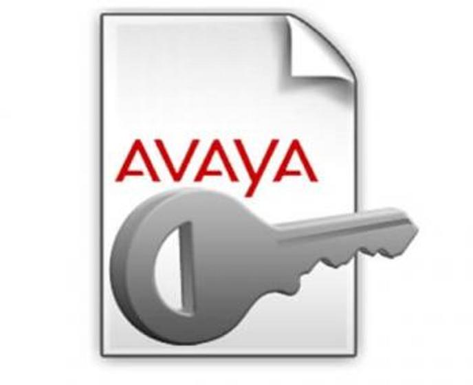 Imagem de Avaya IP Office DECT R4 SARI Certificate (700471568)