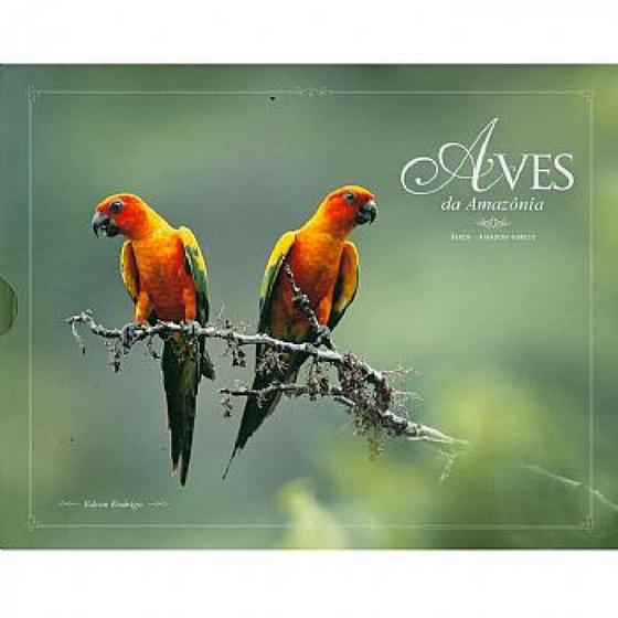 Imagem de Aves da Amazônia - Birds Amazon Forest - Aves e Fotos