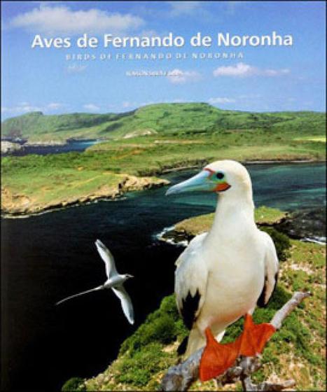 Imagem de Aves de Fernando de Noronha - AVIS BRASILIS