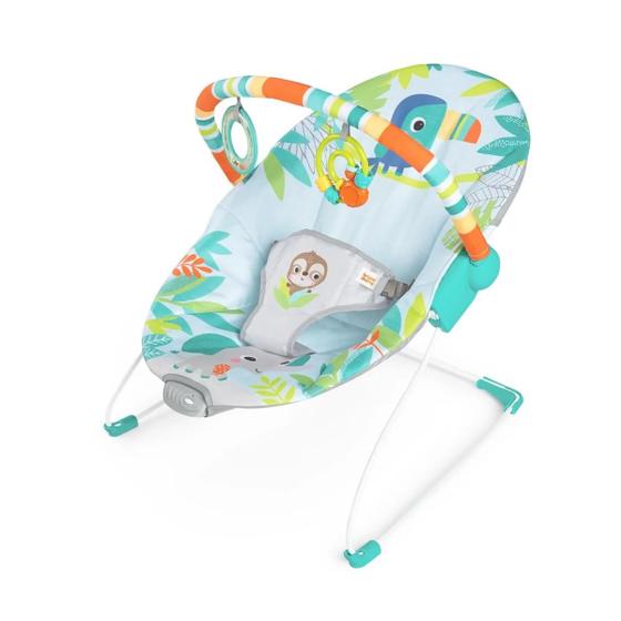 Imagem de Baby Bouncer Bright Starts Suavizando Vibrações 0-6M 9kg