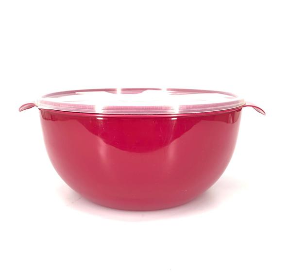 Imagem de Bacia com Tampa Inplast 6,5L - Tam. M
