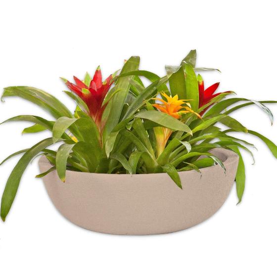 Imagem de Bacia Suculenta Vaso Flor Planta Jardim Polietileno CD11