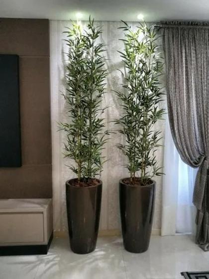 Bambu vertical artificial 4 hastes 1 mt/o vaso não acompanha - Toke verde - Plantas  Artificiais - Magazine Luiza