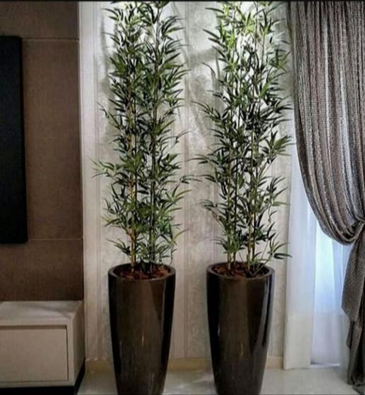 Bambu vertical artificial 4 hastes 1 mt/o vaso não acompanha Menor preço em Bambu vertical artificial 4 hastes 1 mt/o vaso não acompanha