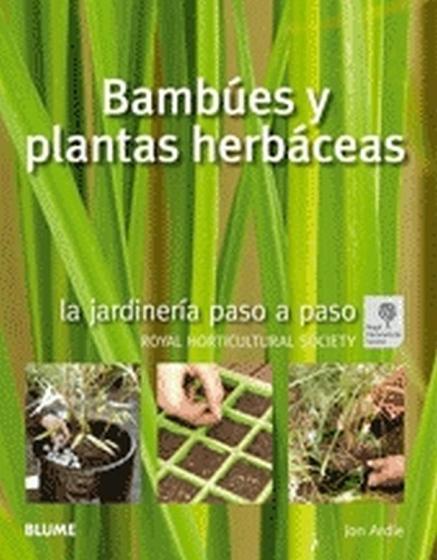 Imagem de Bambúes Y Plantas Herbáceas-La Jardinería Paso A Paso