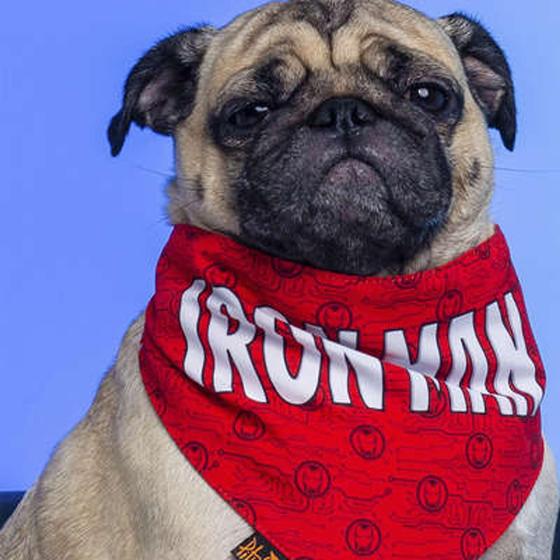 Imagem de Bandana Cachorro