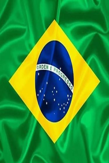 Imagem de Bandeira brasil tecido 150x225cm cp415 nyr