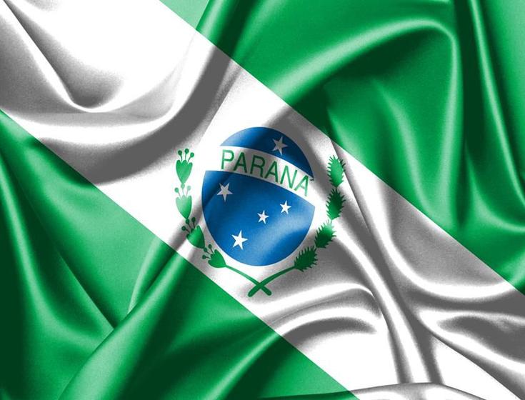 Imagem de Bandeira do Estado do Paraná 80cmx140cm Tecido Oxford 100% Poliéster