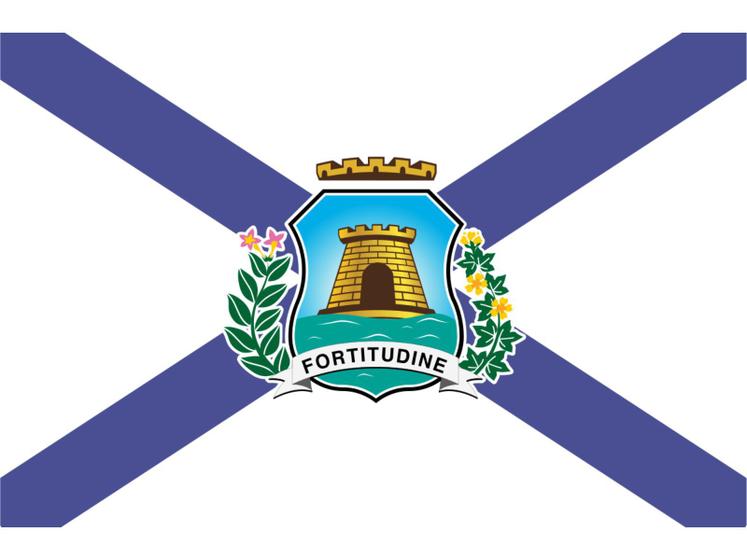 Imagem de Bandeira do município Fortaleza Estampada uma face - 0,70X1,00m