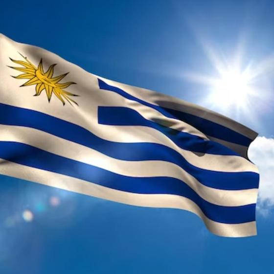 Imagem de Bandeira Do Uruguai 1,50X0,90Mt 100% Poliéster Países 2024