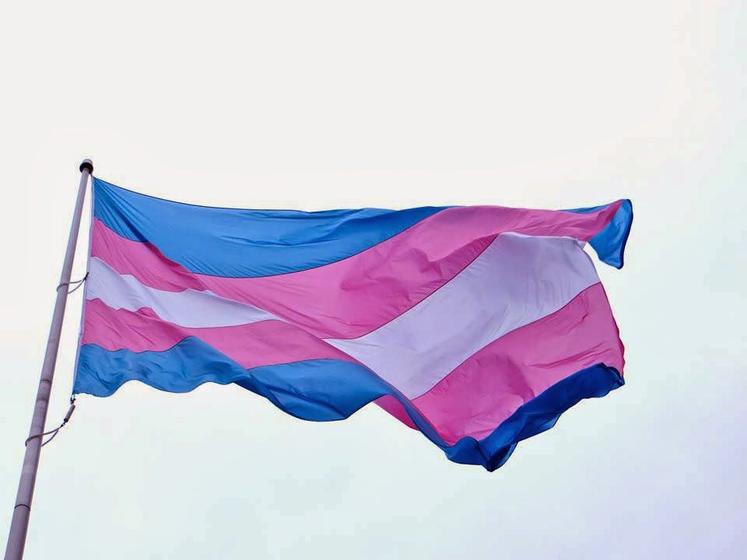 Imagem de  Bandeira Lgbt Trans Transgenero 150 Cm X 90 Cm Poliéster 