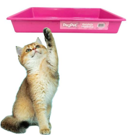 Imagem de Bandeja Sanitária Higiênica Para Gato Pet Caixa de Areia Média 49x33x7cm Lavável Reutilizável PegPet