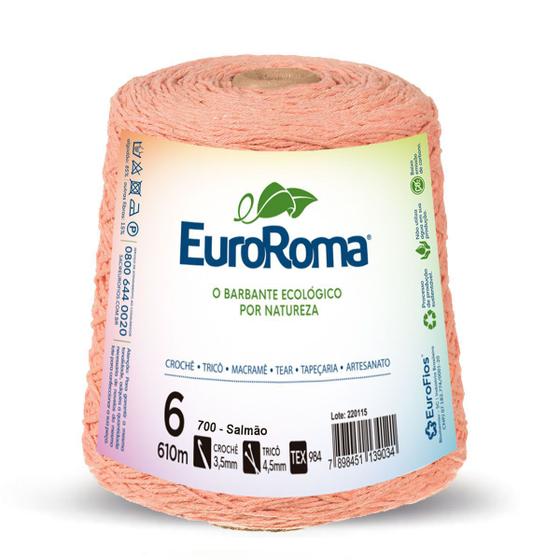 Imagem de Barbante Colorido Euroroma nº6 4/6 - 600g