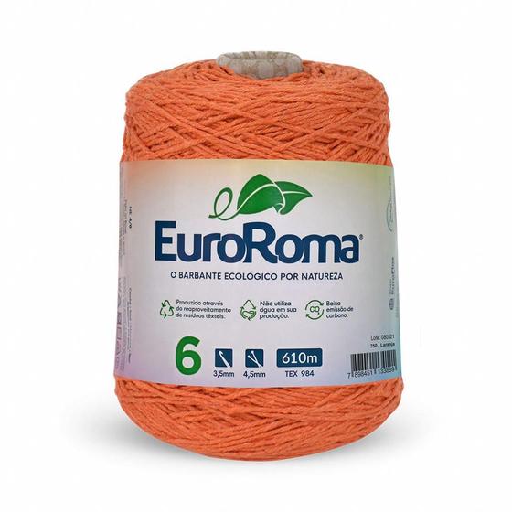 Imagem de Barbante EuroRoma Colorido nº 6 610m Tex 984 600g NE4/6