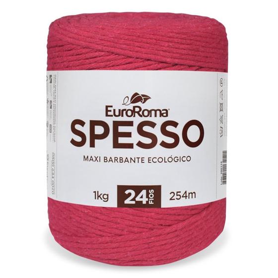 Imagem de Barbante Euroroma Spesso 4/24 1KG - Eurofios