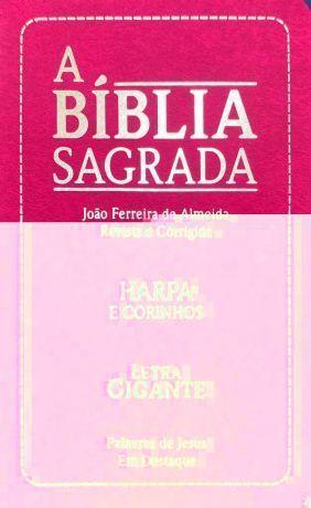 Imagem de Biblia Sagrada - Evangelica Com Harpa e Corinhos - Rosa - PAE EDITORA E DISTRIBUIDORA                       