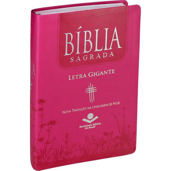 Imagem de Biblia sagrada - letra gigante - pink - ntlh - sbb