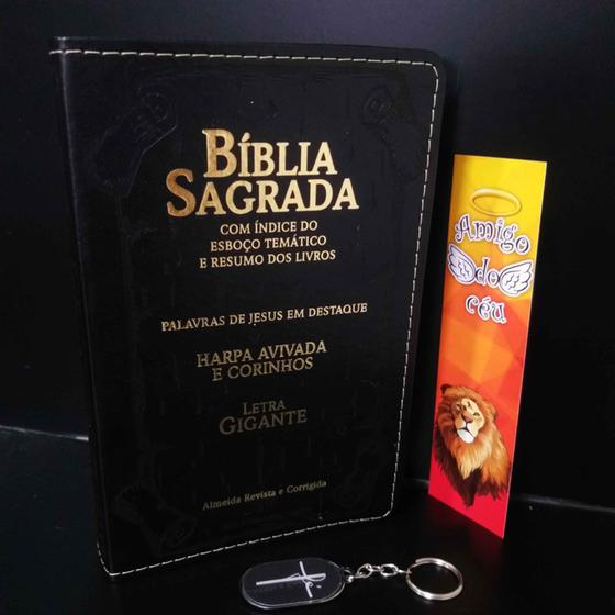 Imagem de Bíblia sagrada moderna evangelica novo harpa tradicional kt
