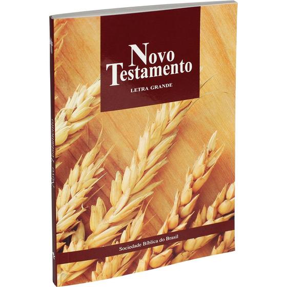 Bíblia sagrada novo testamento letra grande nova tradução na linguagem de hoje (ntlh