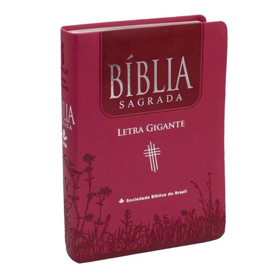 Imagem de Biblia Sagrada Ntlh  Linguagem De Hoje  Letra Gigante- PINK