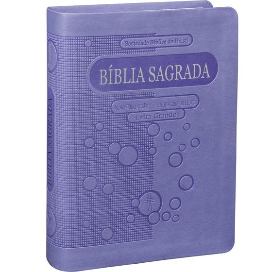 Bíblia Sagrada Pequena com Letra Grande NTLH - Livros de Religião ...