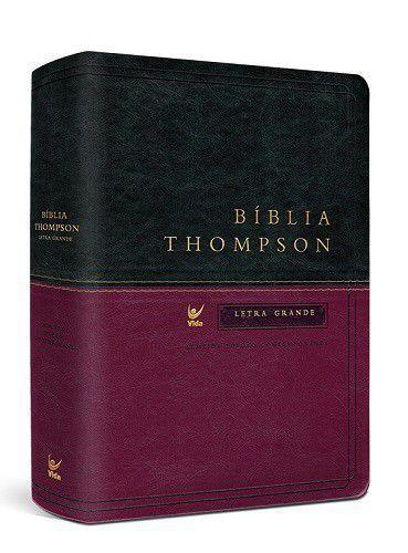 Imagem de Bíblia Thompson Dois Tons Letra Grande - Editora Vida