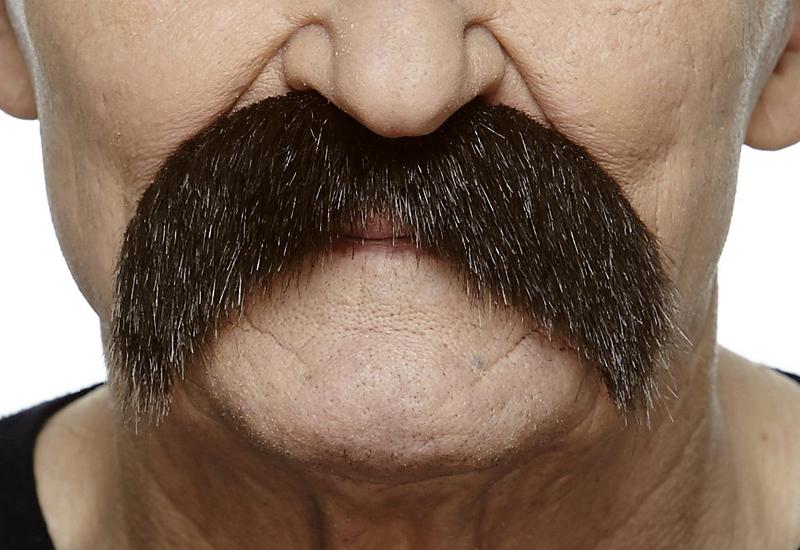 Imagem de Bigodes falsos Walrus Brown para adultos no Dia das Bruxas