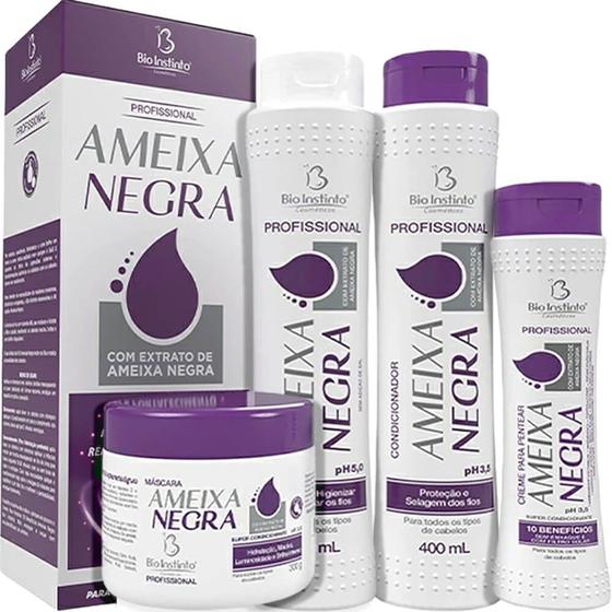 Imagem de Bio Instinto Ameixa Negra - Kit Hidratação Nutrição e Realce da Tonalidade (4 Produtos)