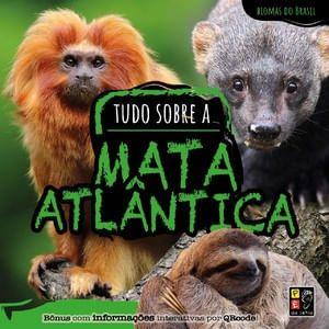 Imagem de Biomas do brasil - tudo sobre a mata atlantica - PE DA LETRA