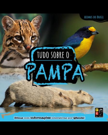 Imagem de Biomas do Brasil - tudo sobre o pampa - PE DA LETRA