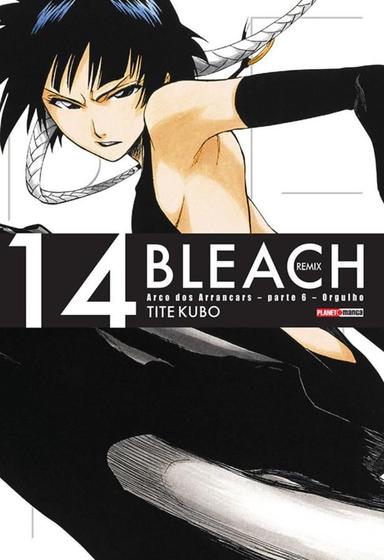 Imagem de Bleach Remix Vol. 14