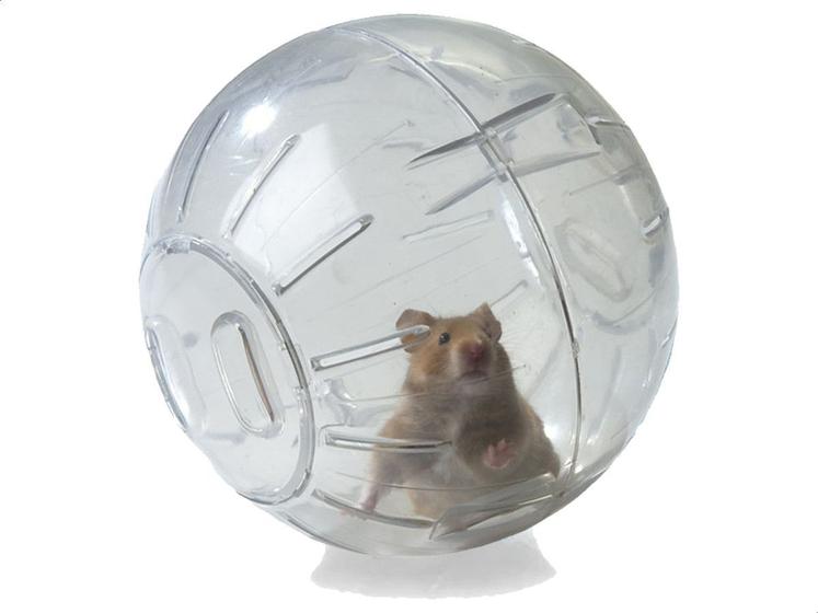 Imagem de Bola Acrílica Hamster Roedores Exercício Savana 12cm P