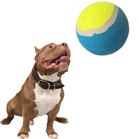 Imagem de Bola de tênis grande resistente para cachorro brinquedo para cães
