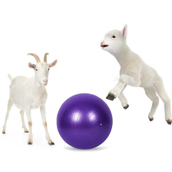 Imagem de Bola de Yoga para Cabras JWYINGIN Anti-Explosão - 43cm com Bomba