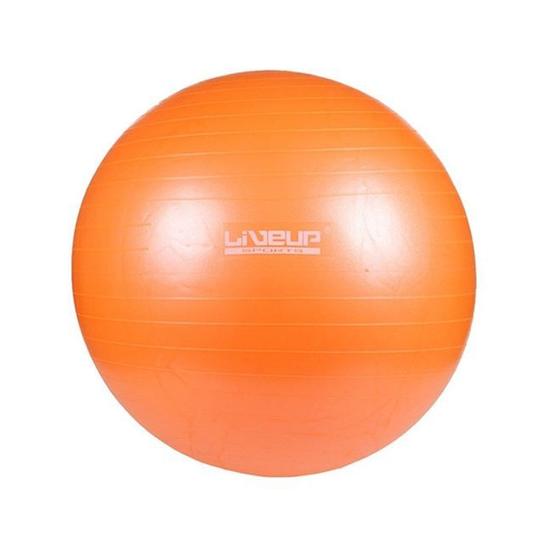 Imagem de Bola Para Yoga Pilates Fisio Overball Liveup Ls3225