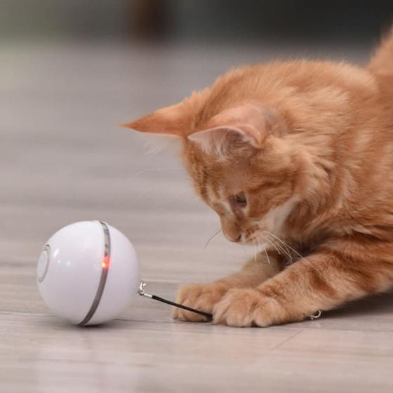 Imagem de Bolinha bola eletronica brinquedo interativo gatos branca