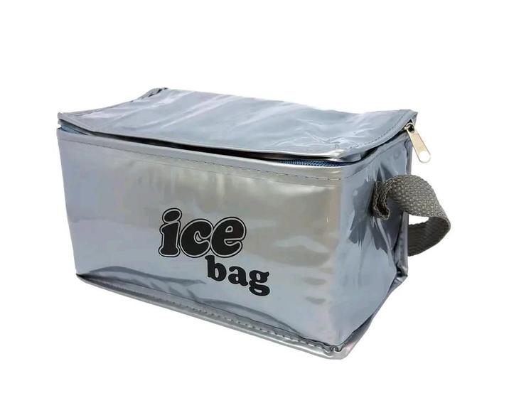 Imagem de Bolsa térmica  fitness ice bag marmita 3 litros