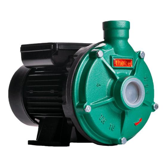 Imagem de Bomba Água Monoestágio TH-16 1,0 CV Monofásico 127/220/254v Thebe