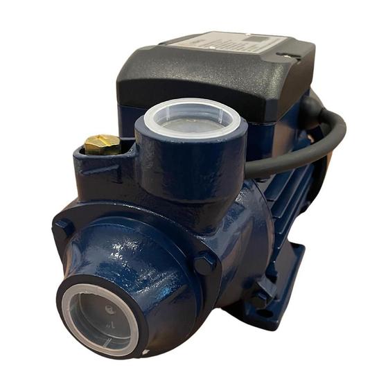 Bomba Dágua Motobomba Periférica 1/2Cv 0.5hp Bp60 Lepono Gidrox 110v Menor preço em Bomba Dágua Motobomba Periférica 1/2Cv 0.5hp Bp60 Lepono Gidrox 110v