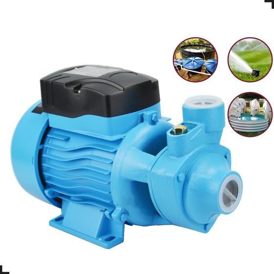 Bomba De Água Periférica Leve Qb60 0,5 Cv Puxa 6m Joga 28m Gamma G2766 ...