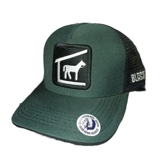 Imagem de Boné Country Cavalo Puro Sangue Snapback Aba Curva Telinha