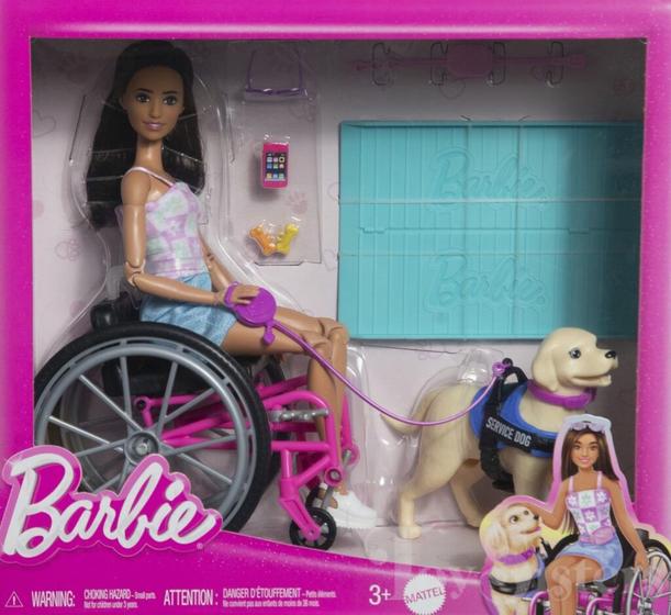 Imagem de Boneca Barbie - Cadeira de Rodas com Cao Guia - MATTEL
