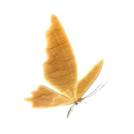Imagem de Borboleta de LED para Decoração com Suporte - 80cm - 1 unidade - Rizzo