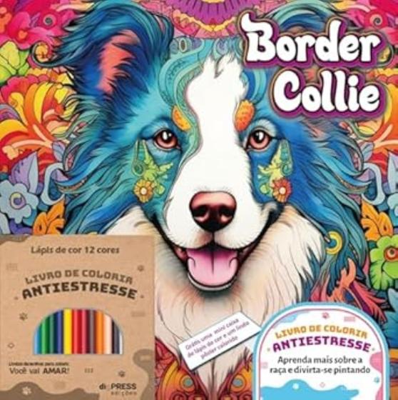 Imagem de Border Collie