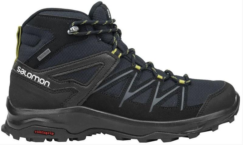 daintree mid gtx