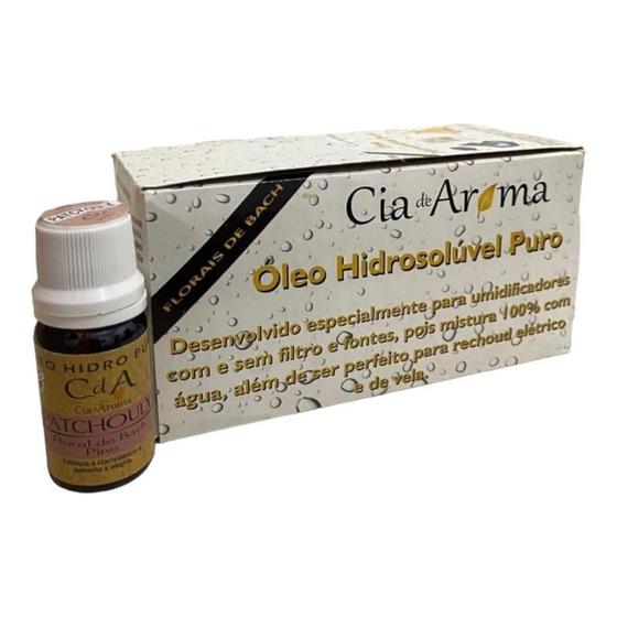 Imagem de Box Kit 10 Óleos Hidrossolúvel 10Ml - Escolha O Seu Aroma