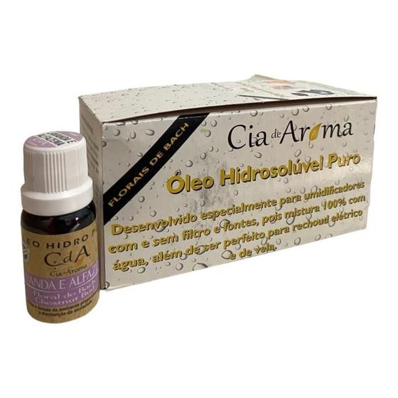 Imagem de Box Kit 10 Óleos Hidrossolúvel 10Ml - Escolha O Seu Aroma