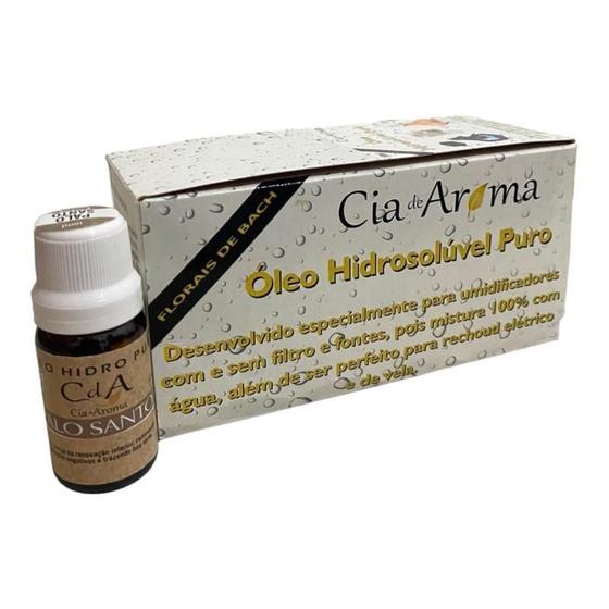 Imagem de Box Kit 10 Óleos Hidrossolúvel 10Ml - Escolha O Seu Aroma