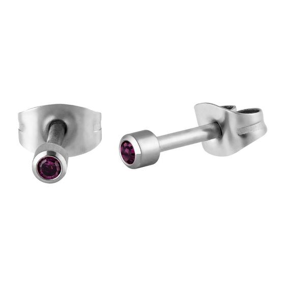 Imagem de Brinco Aço com Zircônia Rosa Escura 2.8mm