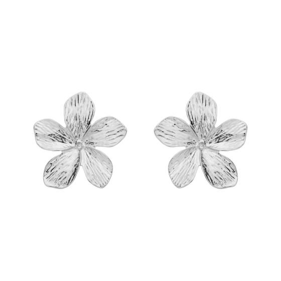 Imagem de Brinco Flor 5 Pétalas Banhado a Prata 925